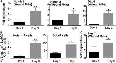 Frontiers | Notch Regulates Macrophage-Mediated Inflammation in